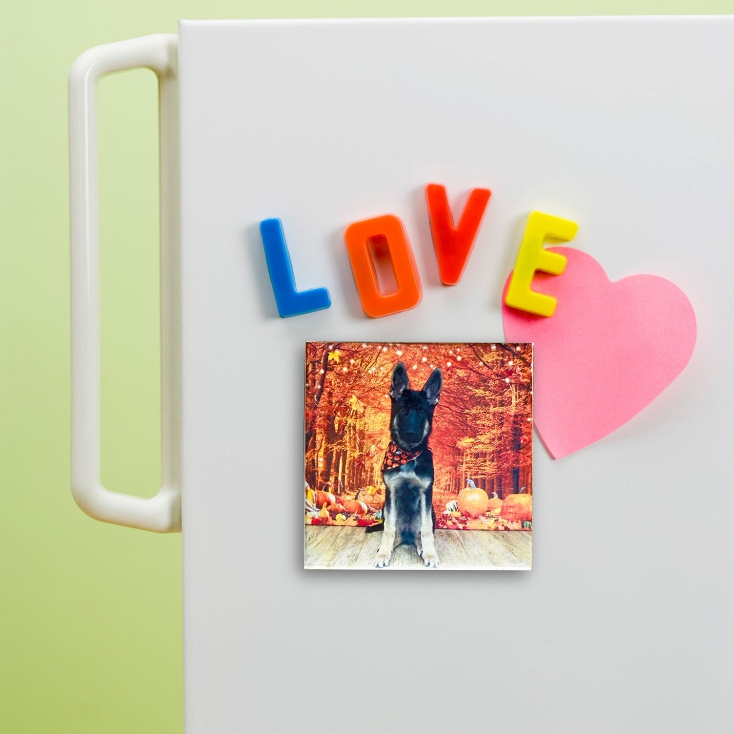 Fridge magnet with a dog photo, colorful letters spelling 'LOVE', and a pink heart on a refrigerator